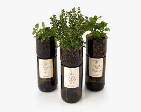 Picture for category Grow Bottle Herbs