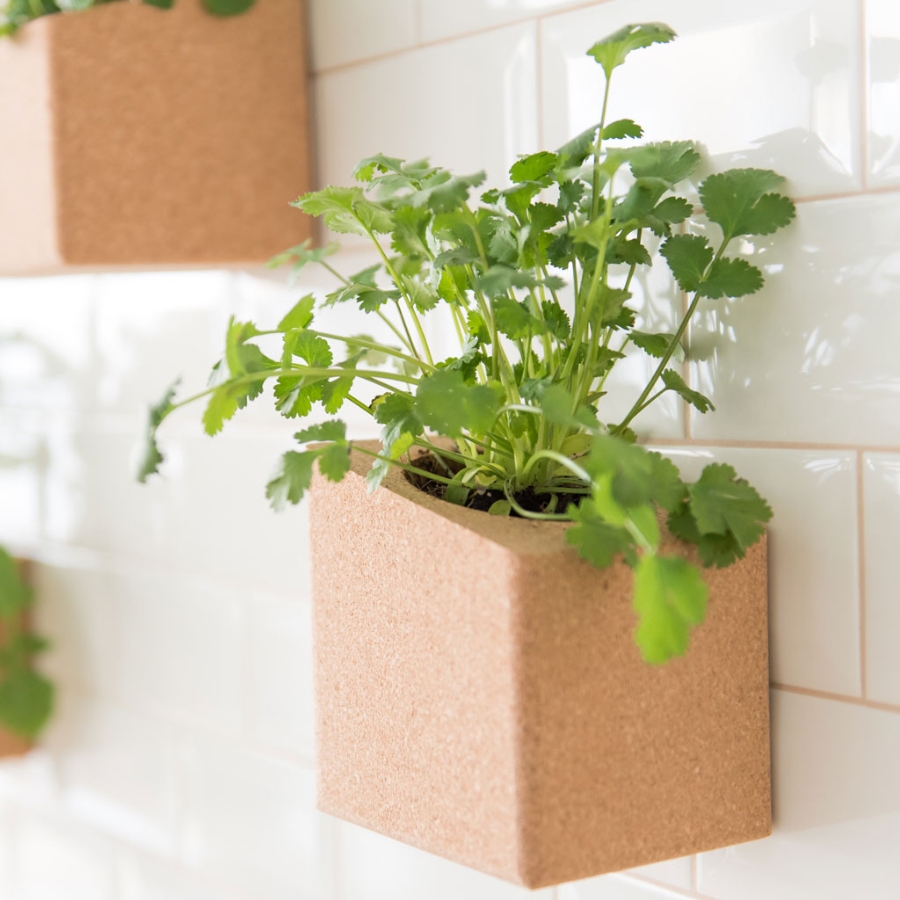 Imagem de Pack Querido Padrinho