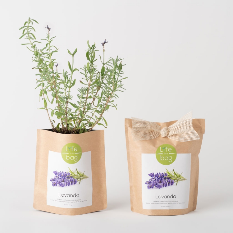 Picture of Lavender Grow Bag