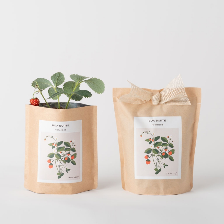 Image de Grow Bag Bonne Chance - Fraises