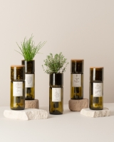 Image de Grow Bottle Coriandre