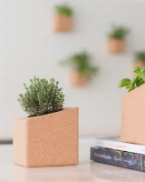 Imagem de Grow Block Hortelã e Tomilho
