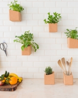 Imagem de Grow Block Hortelã e Tomilho