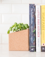 Picture of Grow Block Basil and Coriander