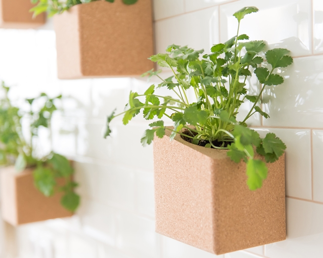 Grow at home, combining design with sustainability